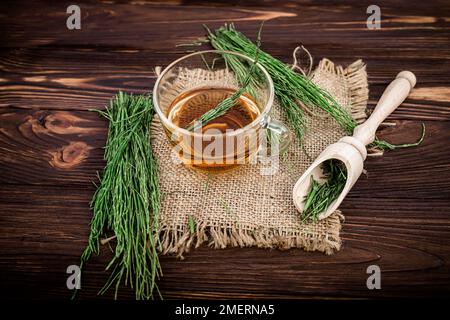 eine tasse Tee aus Schachtelhalm, aus frischem Trank, aus Apothekenmörtel. Schachtelhalm-Infusionen werden als Diuretikum bei Ödemen verwendet Stockfoto