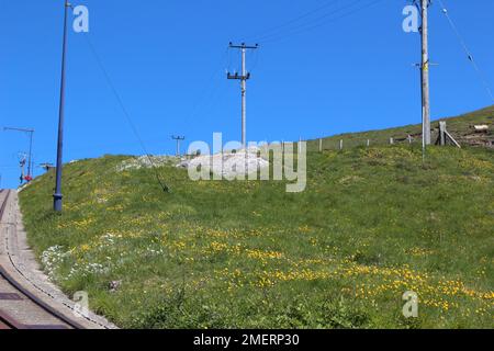 Llandudno ist eine Küstenstadt an der Küste von Nordwales Stockfoto