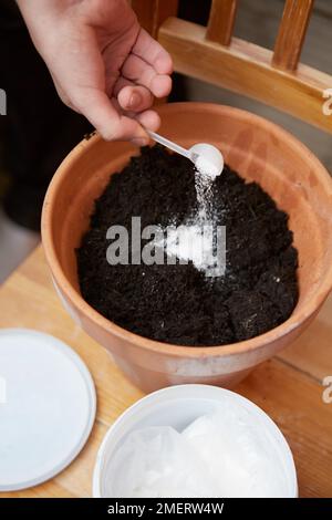 Hinzufügen von wasserhaltendem Gel zum Topf mit Erde Stockfoto