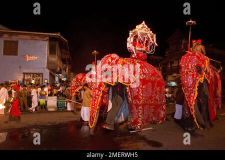 Zentralprovinz, Esala Festival, Kandy, Sri Lanka Stockfoto