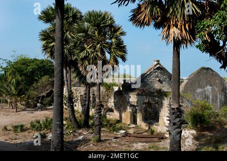 Fort, Mannar, Nordöstliche Provinz, Sri Lanka, Talaimannar Stockfoto