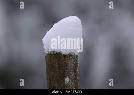 Schneekappen auf Zaunpfählen im Winter Stockfoto