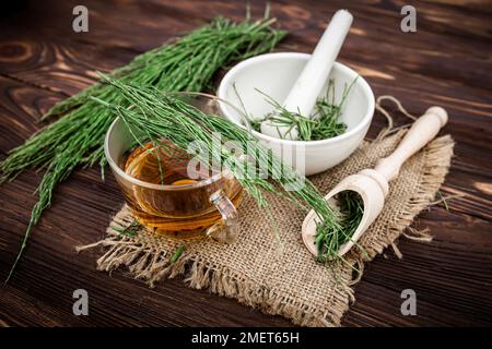 eine tasse Tee aus Schachtelhalm, aus frischem Trank, aus Apothekenmörtel. Schachtelhalm-Infusionen werden als Diuretikum bei Ödemen verwendet Stockfoto