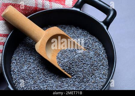 Blue Poppy, Poppy Seeds mit Holzschaufel in Töpfen Stockfoto