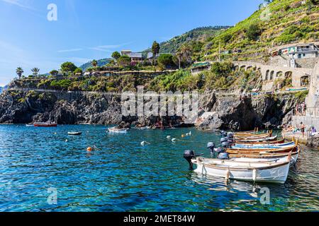 Bunte Fischerboote, die sich im Wasser im Hafen von Manarola, Manarola, Cinque Terre, Ligurische Küste, Ligurien, Italien Stockfoto