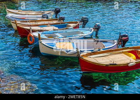 Bunte Fischerboote, die sich im Wasser im Hafen von Manarola, Manarola, Cinque Terre, Ligurische Küste, Ligurien, Italien Stockfoto