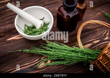 Frischer Schachtelschwanz in einem Apotheke-Mörtel mit einem Stößel auf einem Holztisch. Sammlung von Heilkräutern für Homöopathie und Herbalismus Stockfoto