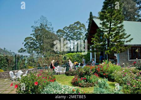 Labookellie Tea Factory, Nuwara Eliya, Provinz Uva, Sri Lanka, Tourist genießt Tee Stockfoto