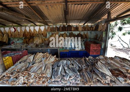 A2, Beruwala, Sri Lanka, Westprovinz, Fischstand Stockfoto