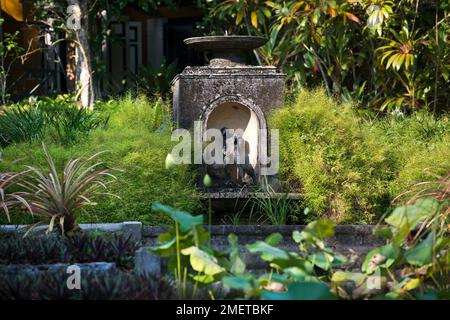 Aluthgama und Bentota, Beruwala, Brief Garden, Sri Lanka, Westprovinz Stockfoto