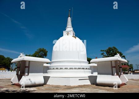 Nordöstliche Provinz, Panama, Pothuvil, Sri Lanka Stockfoto