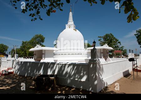 Nordöstliche Provinz, Panama, Pothuvil, Sri Lanka Stockfoto