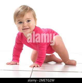Kleines Mädchen (12 Monate) krabbelt Stockfoto