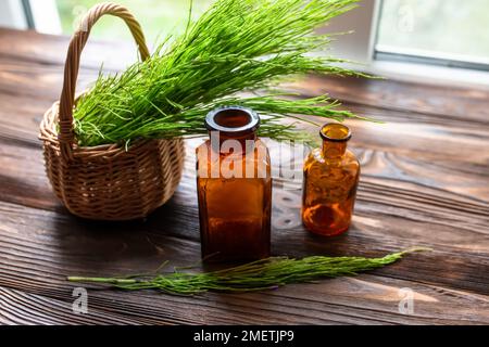 Equisetum, Schachtelhalm, Schlangengras, Öl für die Kosmetik. Puzzlegrass, Kerzenschaum-Extrakt für alternative Medizin verwendete Diuretikum gegen Ödeme, kräftigend, Wunde he Stockfoto