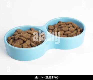 Trockenes Tierfutter in Doppelschüssel Stockfoto