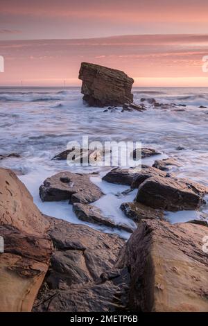 Charlie's Garden in Collywell Bay, Seaton Sluice, Northumberland Stockfoto