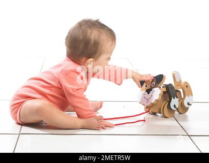 Mädchen sitzend mit Ziehen entlang Hund, 8 Monate Stockfoto