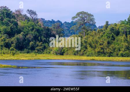 Bau Sau (Krokodilsee), Nam Cat Tien Nationalpark, Vietnam Stockfoto