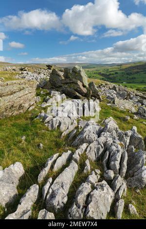 Die norber Findlinge, eiszeitliche Findlinge am südlichen Hang des Ingleborough, Yorkshire Dales National Park, England Stockfoto