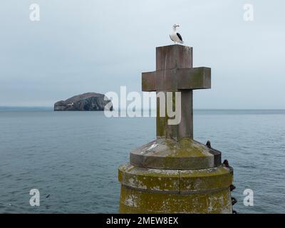 Blick auf die steinfarbene Rundumleuchte am Seacliff Beach in der Nähe von North Berwick in East Lothian, Schottland, Großbritannien Stockfoto