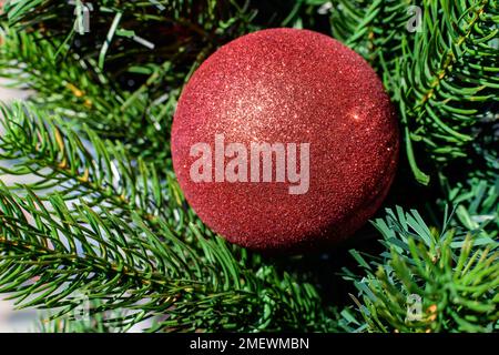 Leuchtend dunkelrote dekorative Weihnachtskugel in einem grünen Baum Stockfoto