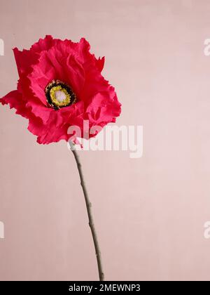 Papercraft Giant Poppy Schönheitsfoto Stockfoto