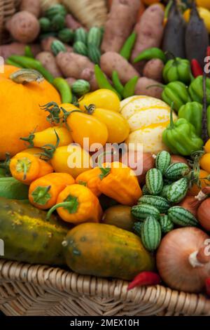 Auf einem Dorfmarkt werden frische Produkte ausgestellt Stockfoto