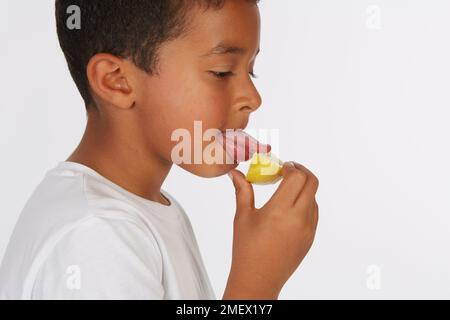 Als Teil eines Geschmackstests wird ein Zitronenkeil verwendet. Modellalter 8. Stockfoto