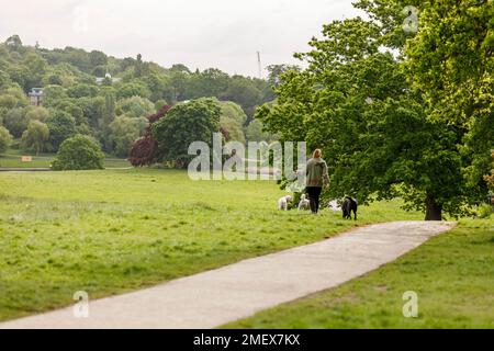 Camden Local Area Photography, London, England, Großbritannien Stockfoto