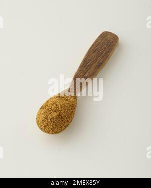 Ein Löffel voll Garam Masala Stockfoto