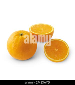 Orangen Stockfoto