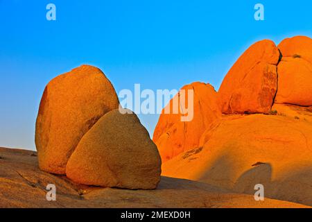 Joshua Tree, Joshua Tree Nationalpark, Mojave-Wüste, Kalifornien, USA Stockfoto