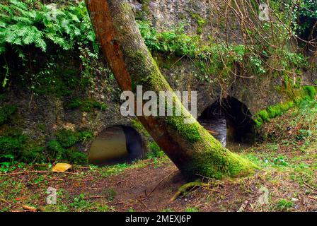 Bengolea alte Eisenwerke am Fluss Lea. Vizcaya. Baskenland. Spanien Stockfoto
