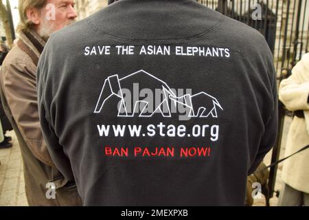 London, Großbritannien. 24. Januar 2023. Ein Aktivist trägt ein „STAE - Ban Pajan Now“-Shirt. Aktivisten der Organisation Save the Asian Elephants lieferten eine Petition an die Downing Street, unterzeichnet von über einer Million Menschen und mit insgesamt über 33 Millionen Unterschriften, die mit DEN STAE-Petitionen übereinstimmen. Verbot der Werbung und des Verkaufs von Touristenattraktionen in Asien im Vereinigten Königreich, wo Elefanten ausgebeutet und mit der Methode des „Break“ „trainiert“ werden, wie z. B. Elefantenreiten. Kredit: SOPA Images Limited/Alamy Live News Stockfoto