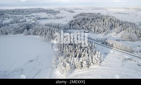 Wunderschöner Blick aus der Vogelperspektive auf schneebedeckte Kiefernwälder und eine Straße zwischen Bäumen. Samogitia-Nationalpark, Plateliai, Litauen. Stockfoto