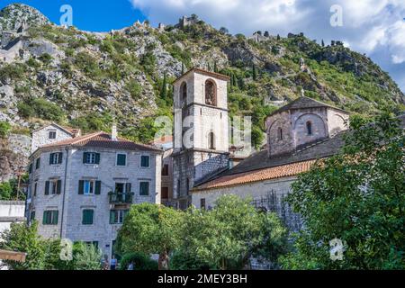 Glockenturm der Kirche St. Mary Collegiate von den alten Stadtmauern in der Altstadt von Kotor in Montenegro Stockfoto