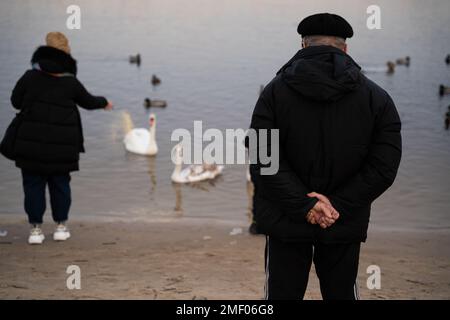 Ein Mann steht in der Nähe eines Sees und füttert Schwäne und Enten. Stockfoto