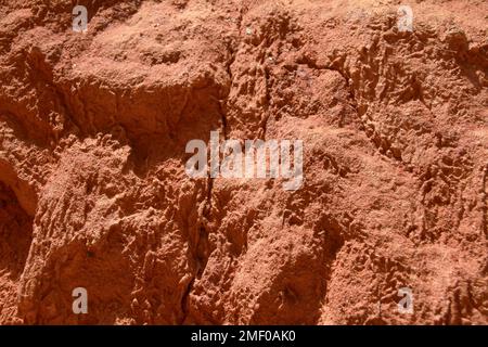 Providence Canyon in Georgia, USA. Blick auf eine erodierte Canyon-Wand vom Canyon-Boden. Stockfoto