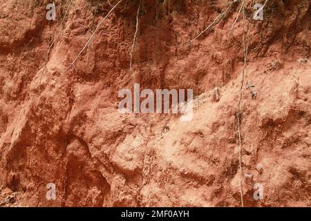 Blick auf eine erodierte Felswand im Providence Canyon, GA, USA Stockfoto