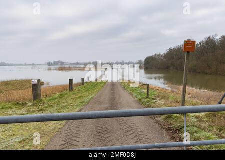 Hochwasser im Fluss IJssel bei Olst Wijhe in Overijssel in den Niederlanden Stockfoto