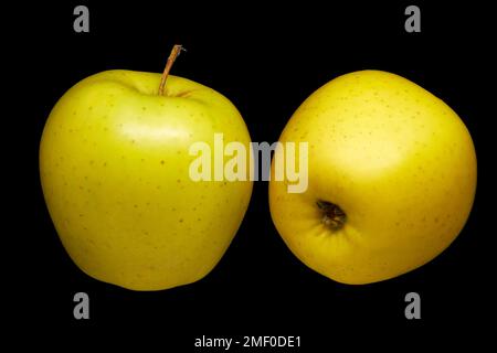 Bild von zwei reifen gelben Äpfeln auf schwarzem Hintergrund Stockfoto