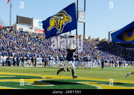 Das South Dakota State Jackrabbits Maskottchen Jack führt die Flagge bei der Feier des NCAA Division I FCS National Championship Game 2023 im Toyota Stadi Stockfoto