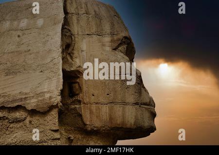 Eine beeindruckende Nahaufnahme der großen Sphinx von Gizeh (Kairo, Ägypten), umhüllt vom Sonnenaufgang in der Wüste. Stockfoto