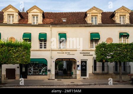 Das Weingut William Fèvre in Chablis, Frankreich Stockfoto