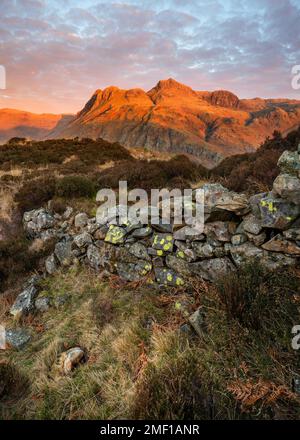 Goldenes Licht bei Sonnenaufgang auf den Berggipfeln der Langdale Pikes mit alter Steinmauer in ländlicher Landschaft. Lake District National Park, Großbritannien. Stockfoto