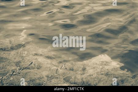 Bunte Unterwasserlandschaft mit türkisblauem und grünem Wasser im Nationalpark Plitvicer Seen Kroatien. Stockfoto