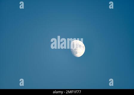 Fast Vollmond auf blauem Hintergrund. Hintergrund, Kontraste, niemand, leerer Raum, klar, Stockfoto