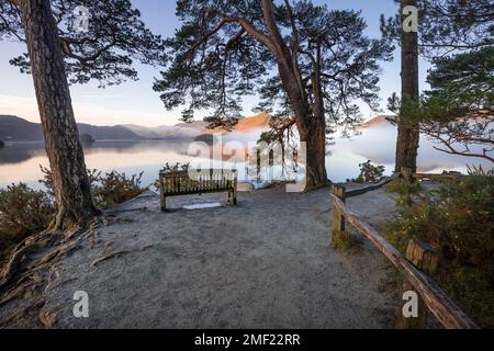 Friedliche Aussicht am frischen Wintermorgen mit Holzbank in Friars Crag, Derwentwater, Lake District, Großbritannien. Stockfoto