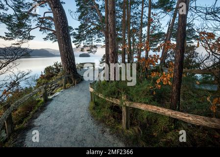 Ruhige Holzbank mit wunderschönem Blick auf Derwentwater im Lake District, Großbritannien. Stockfoto