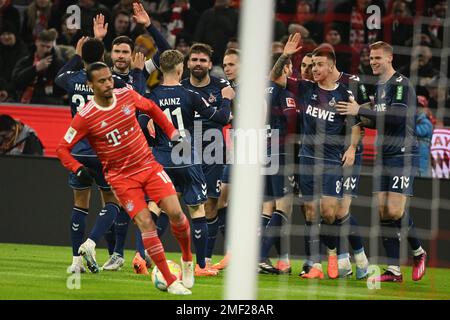 München, Deutschland. 24. Januar 2023. Fußball: Bundesliga, Bayern München - 1. FC Köln, Matchday 17 in der Allianz Arena feiern die Kölner Spieler das Tor von Skhiri für 0:1. WICHTIGER HINWEIS: Gemäß den Anforderungen der DFL Deutsche Fußball Liga und des DFB Deutscher Fußball-Bund ist es verboten, im Stadion aufgenommene Fotos und/oder das Spiel in Form von Sequenzbildern und/oder videoähnlichen Fotoserien zu verwenden oder verwenden zu lassen. Kredit: Sven Hoppe/dpa/Alamy Live News Stockfoto